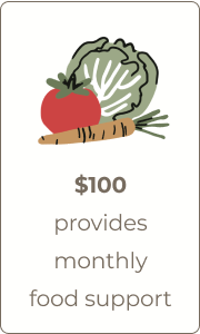 card of vegetables that says $100 offers monthly food support